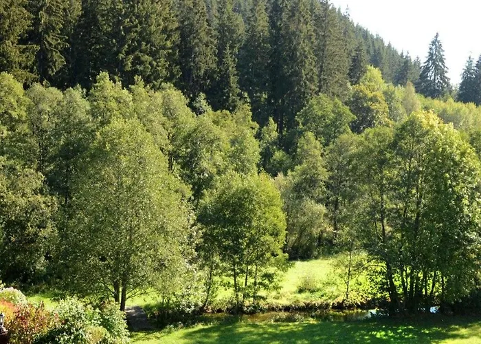 Im Kupferhammer Apartamento Titisee-Neustadt